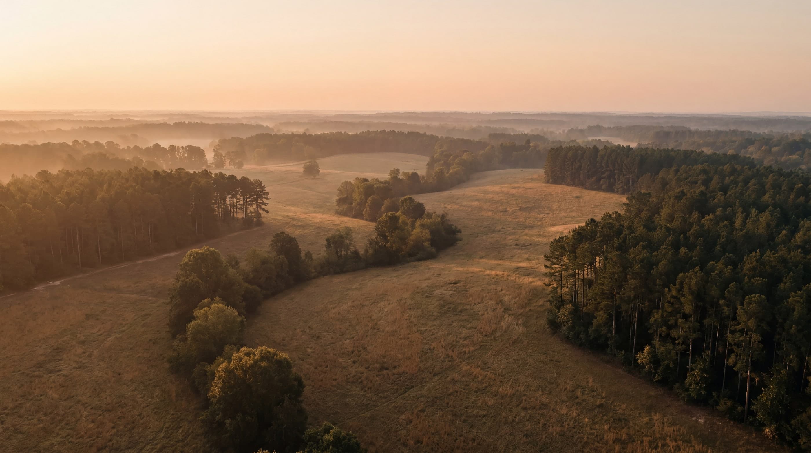 Quiet Southeastern landscape at dawn